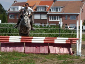 Wendy van de Nachtegaele