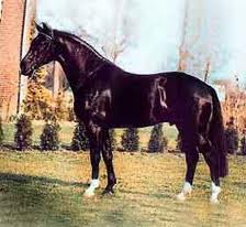 Ferro