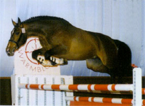 Vialli