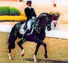 Ferro