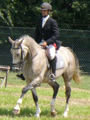Ciris van de Nachtegaele