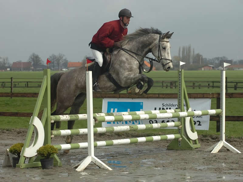 Ciris van de Nachtegaele