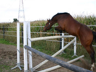 Clifton van de Nachtegaele