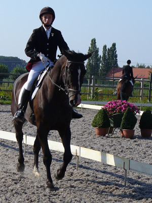 Vilano van de Nachtegaele Z