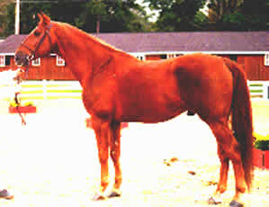 Obelisque Normand